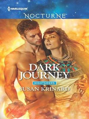 cover image of Dark Journey